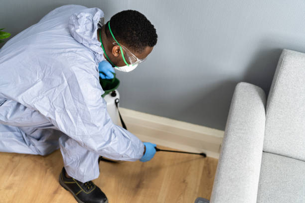 Real Estate Pest Inspections in Rehobeth, AL